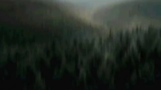 Антихрист (Antichrist)