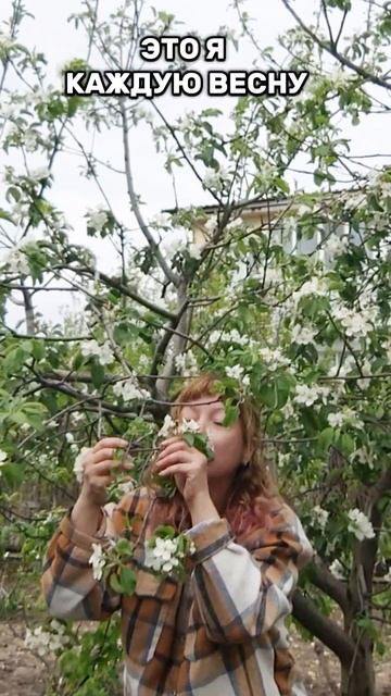 Обожаю, когда всё цветёт