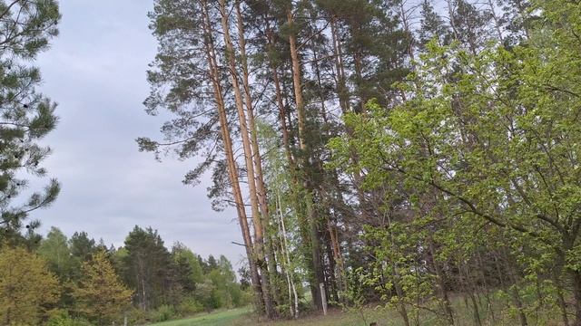 Чай стынет ужасы смотреть новое видео 2025 года, про ужасы онлайн лучшие ужастики бесплатно  #ужасы