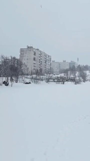 #мурманск Май шутник. Весна где-то заблудилась...