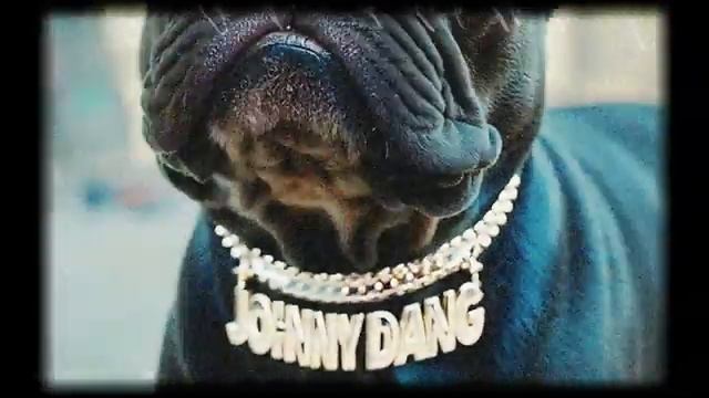 AI Commercial - Johnny Dang & Co