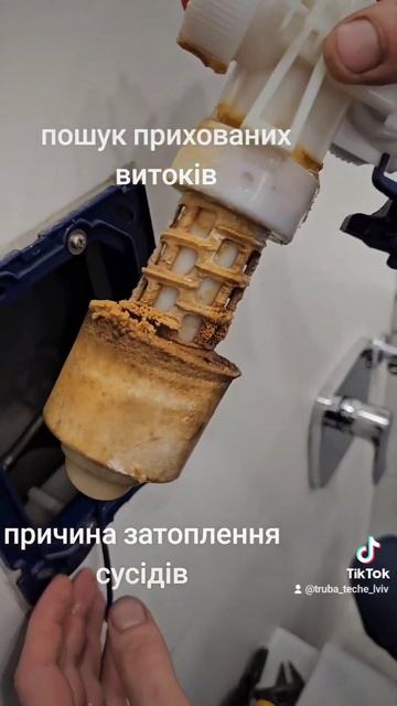 Арматура для унітаза стала причиною затоплення сусід?