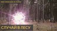 Случай в лесу (Мистическая история)