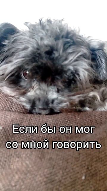 настроение