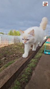 Настюня зажгла в Небе радугу и получила награду 🌞🌈💓🥰😻