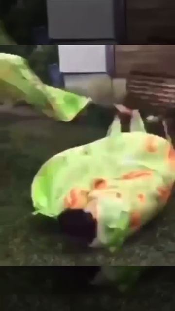 Спят усталые игрушки