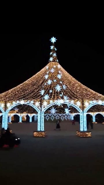 Самая главная ёлка в Заполярье. Мурманск. На Севере жить