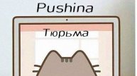 ROBLOX 🎮: Pushin! 🐱 Попал в тюрьму. 🚢 Что? 🤔 Я это проверю. 🔍