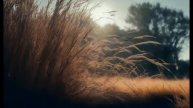 Егор Летов - Он увидел солнце Stable diffusion (deforum) нейросеть