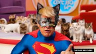 Save the Cats.