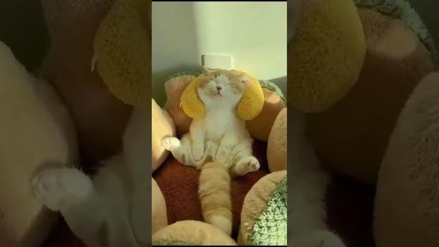 Выходные наступили