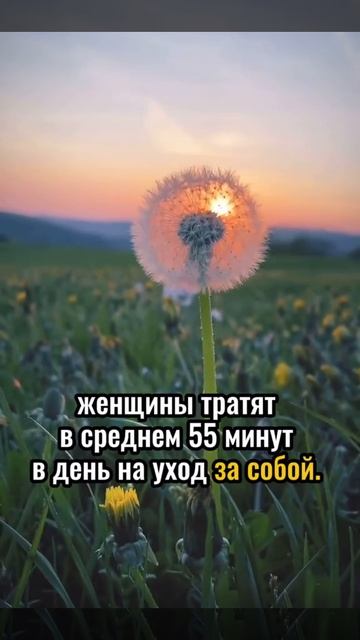 Психологические факты