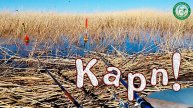 КАРП В КАМЫШАХ НА ПОПЛАВОЧКУ С ЛОДКИ! С НОЧЕВКОЙ ОТКРЫВАЕМ СЕЗОН НА НЕМЕЦКОМ, РЫБАЛКА В КАЗАХСТАНЕ!