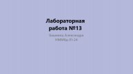 Лабораторная работа №13. Отчет