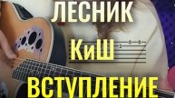 ЛЕСНИК (КиШ) на гитаре вступление