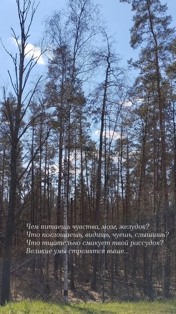 04.05.25 АЗ #ниднябезрифмы