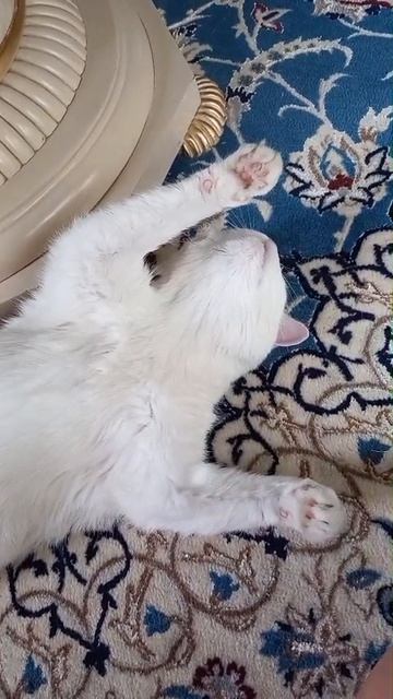 Чил