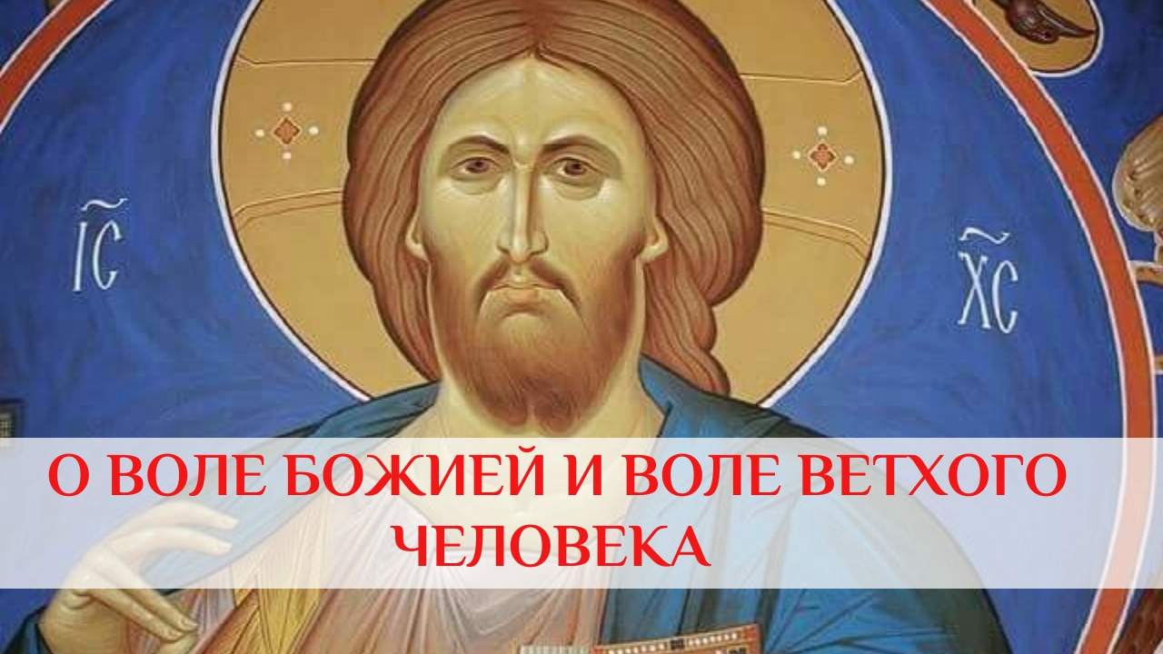 О воле Божией и воле ветхого человека