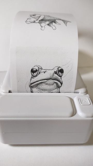 как нарисовать лягушку