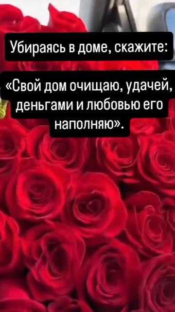 ♡♤◇♧