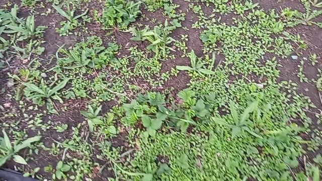 04-01-2025деревенская жизнь