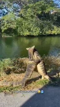 Обстановка в Таиланде.