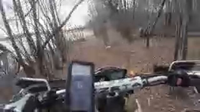 По лесу 39