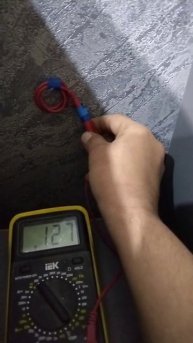 petal_20250504_221824.mp4