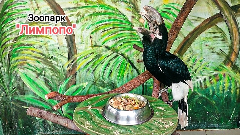 Нижегородский зоопарк "Лимпопо". Часть 6