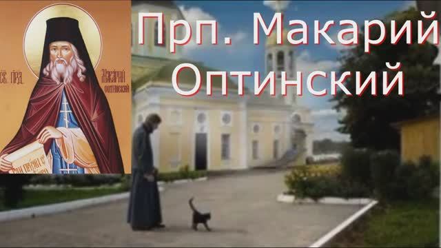 Наши Добрые дела служат ко Спасению, но опасайся гордиться ими  _Советы Прп. Макария  Оптинского