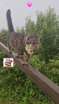Любовь долготерпит милосердствует 😇🌈💓🙏😻🌼🐶