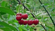 Дом в СНТ Волково под Уфой