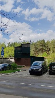 Спортивные голуби(К.ВиС)