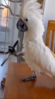 Вот это у вас фокусы! И как только получается?