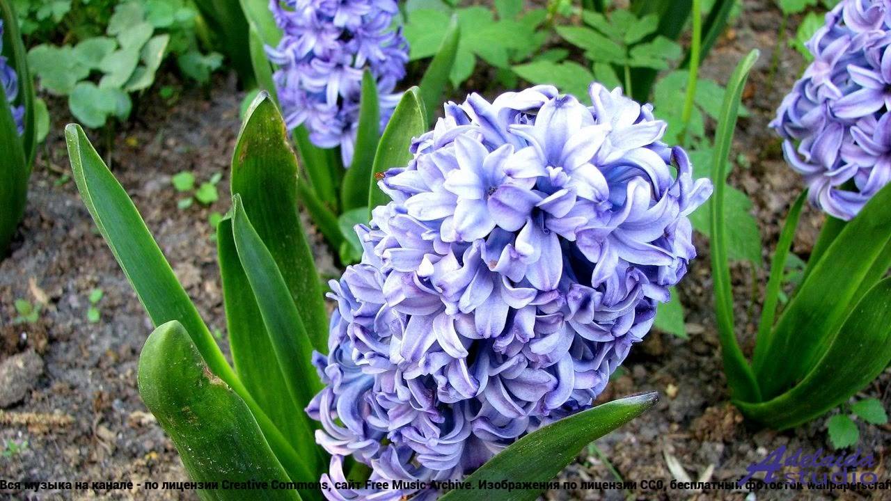✸ ♫ ❤ Хит, который ты будешь повторять - 241120_002 -- Kosta T -- САУНА.mp4