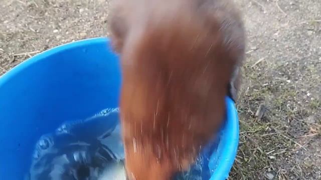 1000028925.mp4
