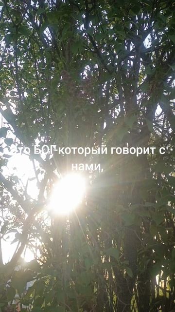 БИБЛИЯ-это...