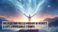 ПОСЛЕДСТВИЯ ОБЕСЦЕНИВАНИЕ МУЖСКОГО В ПАРЕ БЛИЗНЕЦОВЫХ ПЛАМЁН