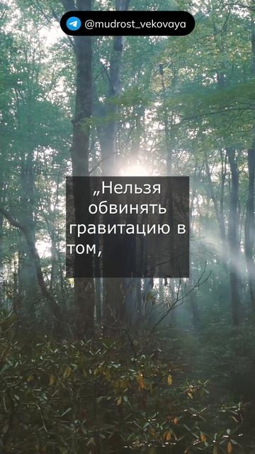 Цитаты немецкого физика Альберта Эйнштейна.