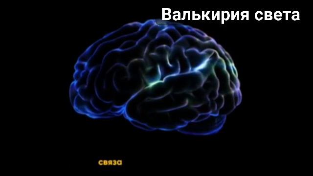 VID_20250504_001951_352.mp4