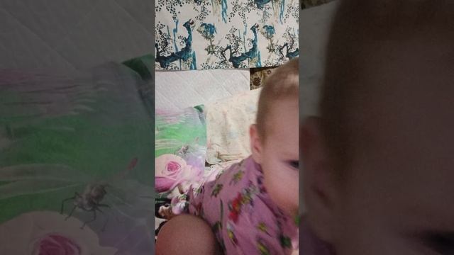 Спокойной ночи.