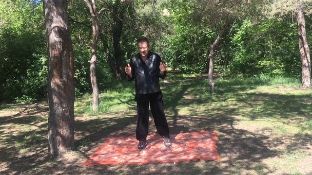 Боевой бадуандзинь.Человек. Таолу Боевой борьбы. Теория.