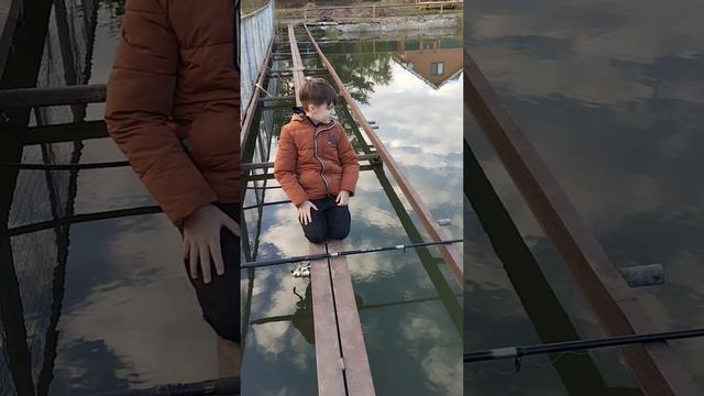 На рыбалку. Поймали ротанов