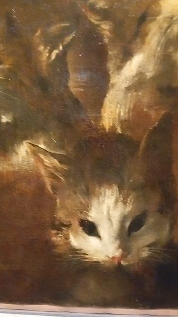 Питер Буль. Этюды кошачьей головы.