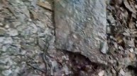 восстановил ЛЕСНОЙ КЛЮЧ своими руками!