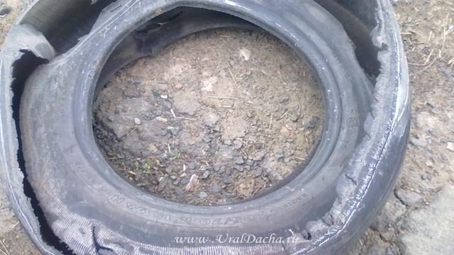Избавляемся от грызунов: крыс, мышей и полёвок народными способами