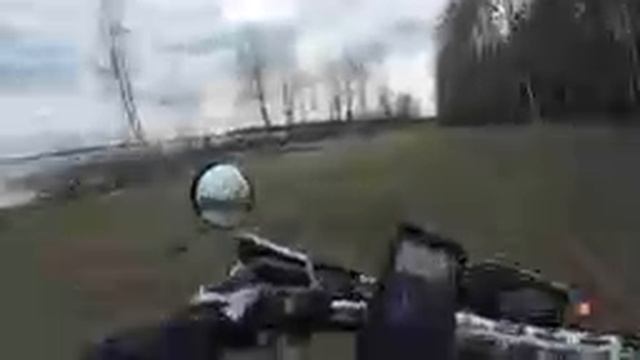 По лесу 36