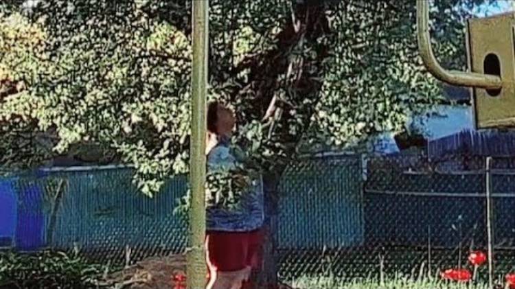 Волчица. Такие вещи носят только голливудские звезды обрезала деревья