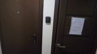 л