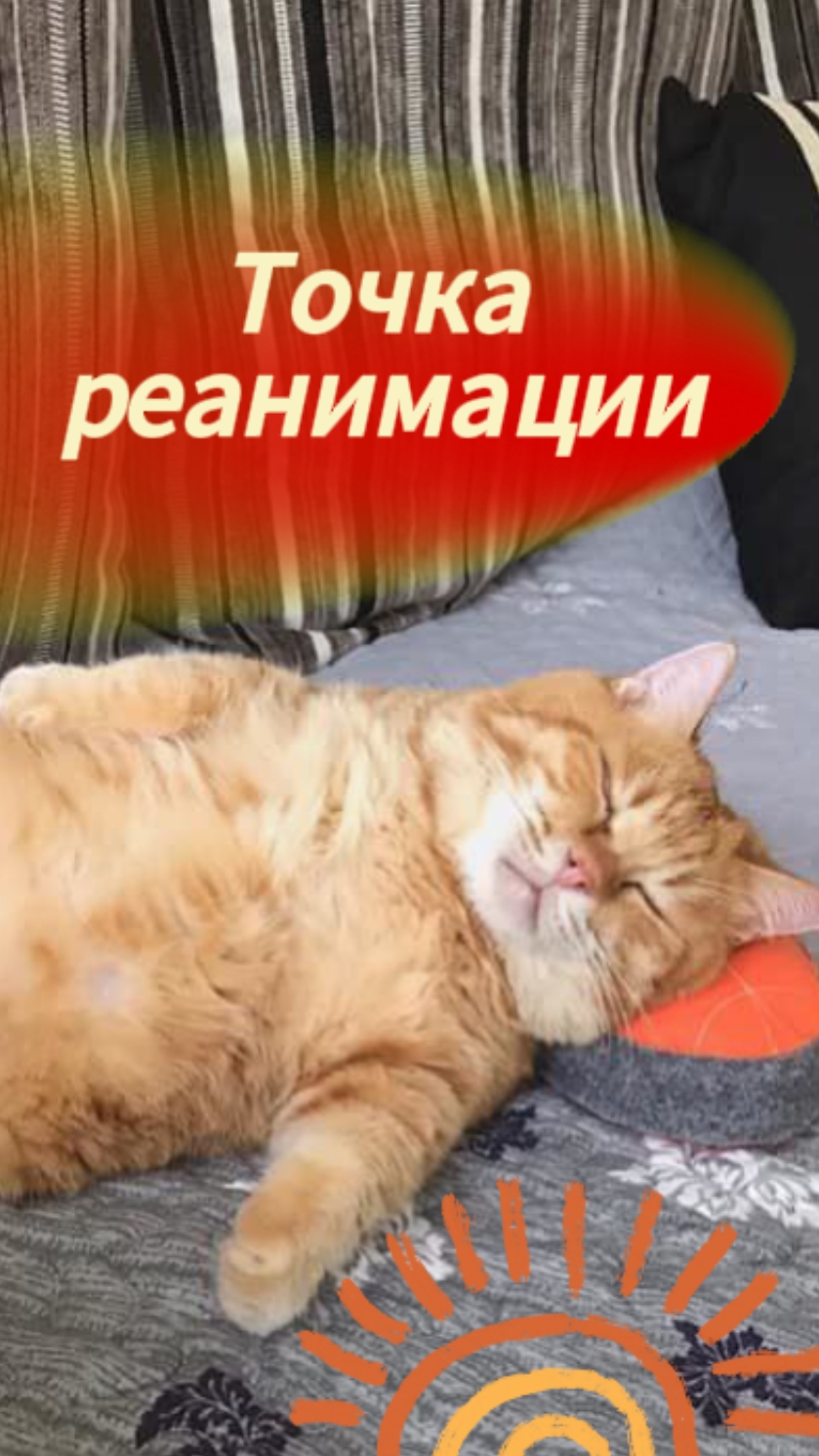 Точка реанимации.mp4